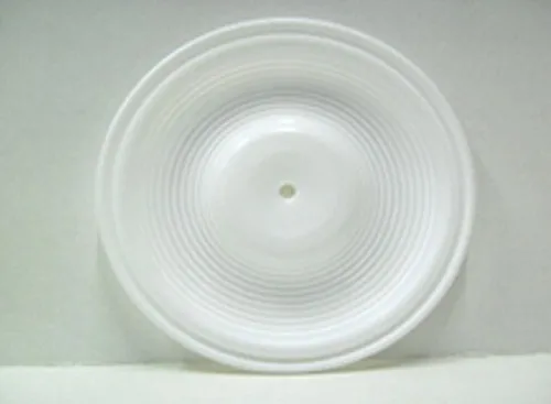 PTFE Diaphragm